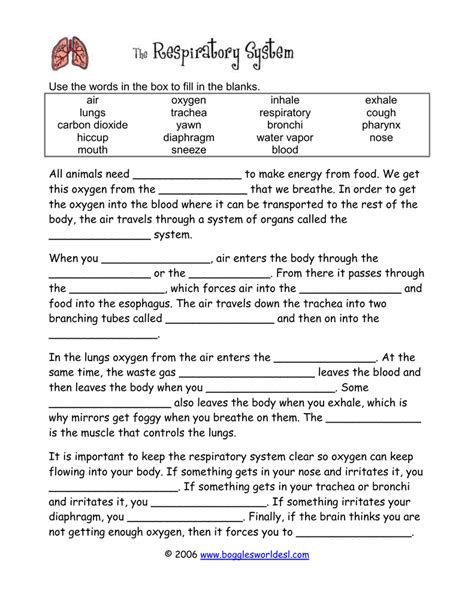 Bogglesworldesl The Respiratory System Cloze Answer PDF