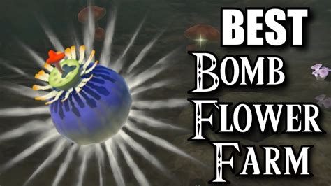 Bomber Flower: 101 Essential Facts