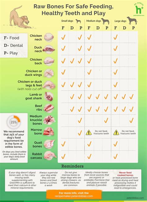 Bone Marrow Bones for Dogs: A Complete Guide to Health Benefits, Risks, and More