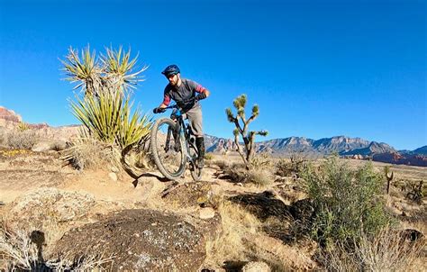 Boneshaker Trail Reader