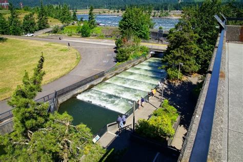 Bonneville Dam Visitor Center: Uncover the History, Wonders, and Hidden Gems