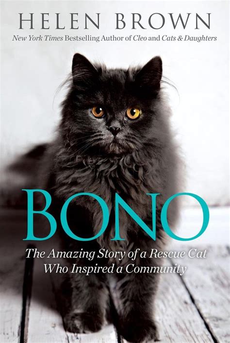 Bono The Amazing Story of a Rescue Cat Who Inspired a Community PDF