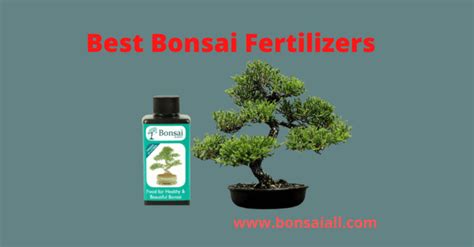 Bonsai 4-6-4 Fertilizer: The Secret to a Thriving Tree Ecosystem