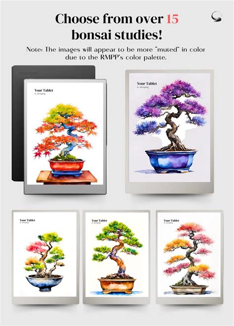 Bonsai Retractable Including Tablets More Epub