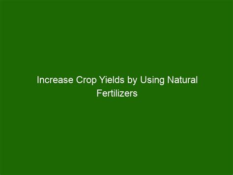 Bonus Crop Fertilizer: Unlock 250% Yield Increase