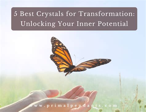 Books on Healing Crystals: Unlocking Your Inner Potential