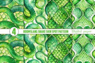 Boomslang Skin Pattern: An Enduring Natural Masterpiece Inspiring Innovative Applications