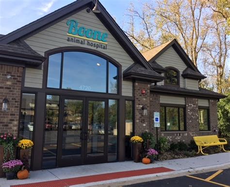 Boone Animal Hospital IL: Providing Comprehensive and Compassionate Veterinary Care