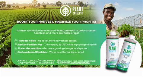 Boost Your Yields and Profits with Wayne Wholesale Fertilizer