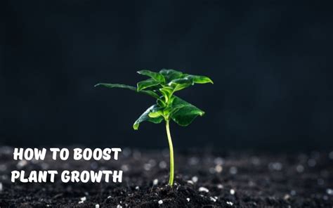 Boost plant growth: