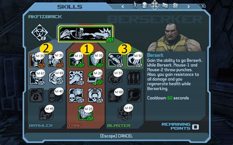 Borderlands Skill Tree: A Comprehensive Guide