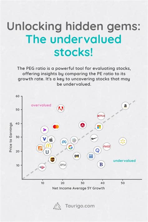 Bored Stocks 101: Unlocking the Hidden Gems