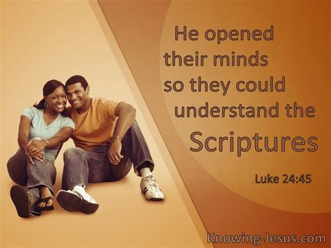 Born To Believe Understanding the Bible and You PDF