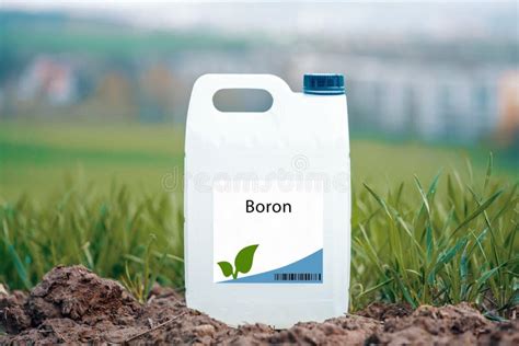 Boron, the Essential 9th Plant Nutrient: Unlocking Maximum Growth and Yield