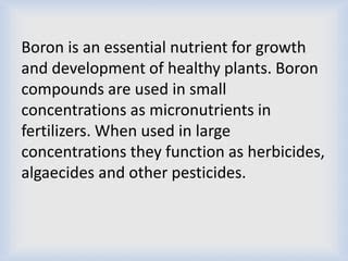 Boron: The Essential 100+ Micronutrient for Fertile Soils