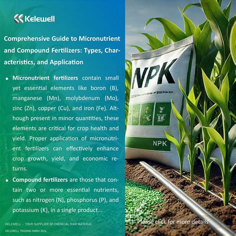 Boron as Fertilizer: A Comprehensive Guide to Micronutrient Essential for Plant Health