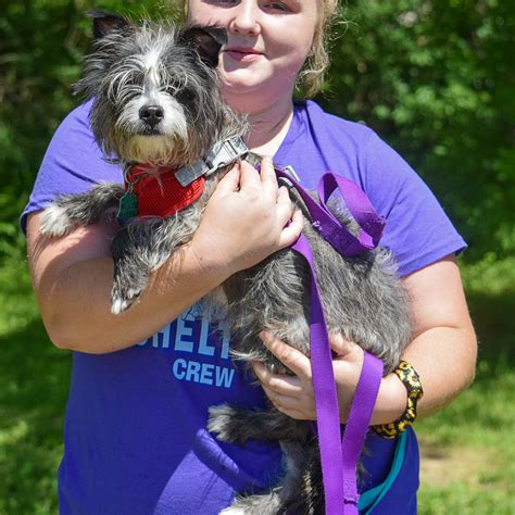 Boston Animal Shelter