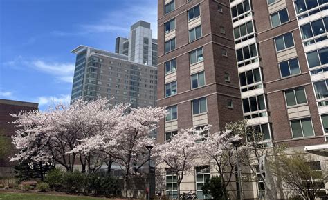 Boston University Housing Cost: A Comprehensive Overview