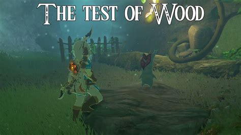 BotW: The Ultimate Test of Wood