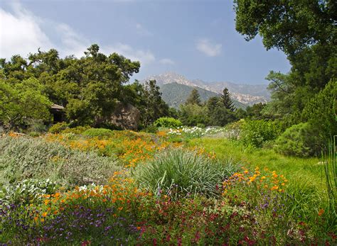 Botanical Garden Santa Barbara: A Haven of Horticultural Wonders