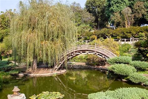 Botanical Gardens: An Oasis in the Heart of Los Angeles