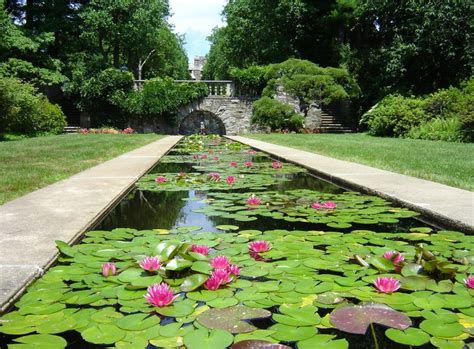 Botanical Gardens in New Jersey: An Enchanting Escape into Nature's Embrace