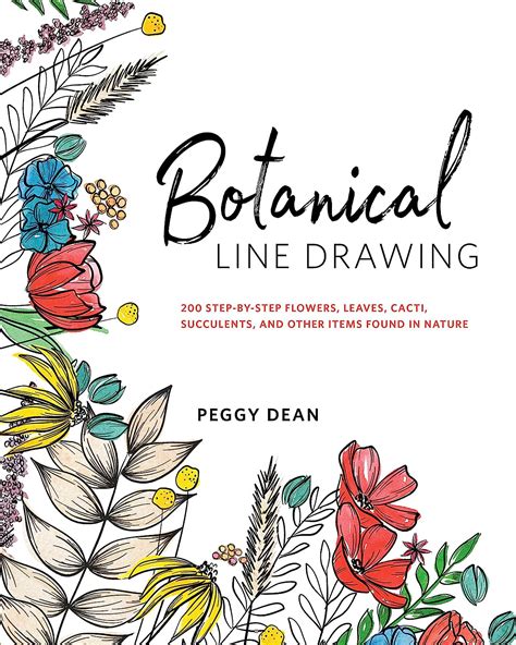 Botanical Line Drawing 200 Step-by-Step Flowers Leaves Cacti Succulents and Other Items Found in Nature