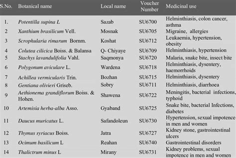 Botanical Profile and Medicinal Properties of Akali Bis