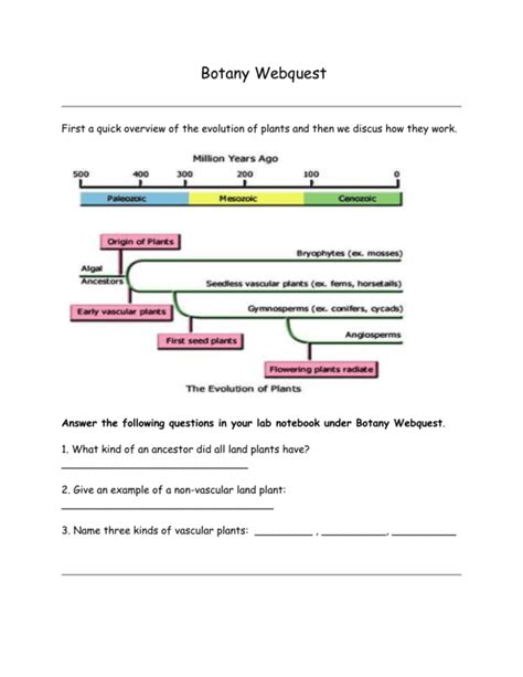 Botany Webquest Evolutionary Overview Answers Reader