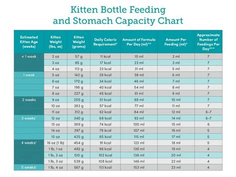Bottle Feeding Kitten Chart
