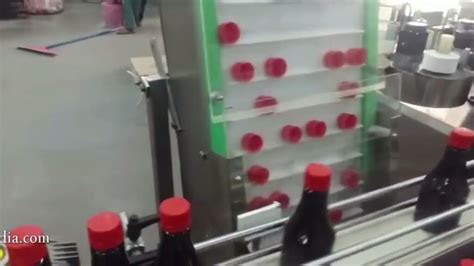 Bottle Inserters: Revolutionizing Packaging Efficiency