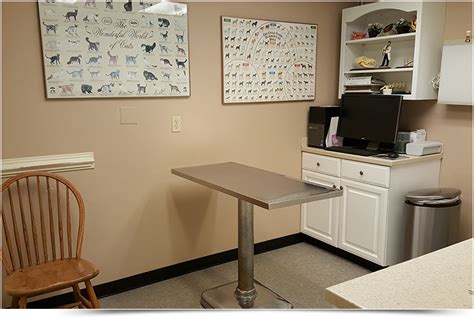 Bowie Towne Veterinary Clinic: A Haven of Compassion and Expertise for Your Beloved Pets