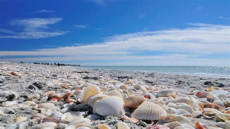 Bowman's Beach (Sanibel)