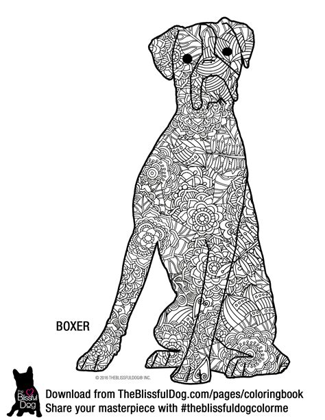 Boxer Dog Coloring Book Large One Sided Boxer Dog and Other Cute Dog Breeds Coloring Book Color Boxer Dog Easy and Relaxing Kindle Editon