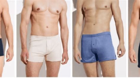 Boxers for Sale: The Ultimate Guide to Finding Your Perfect Match