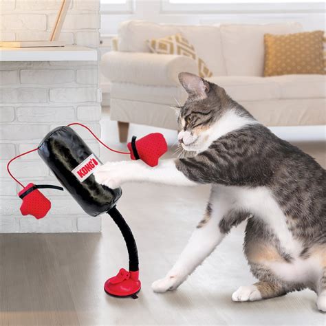 Boxing Bag Cat Toy: A Surefire Way to Unleash Your Cat's Wild Side