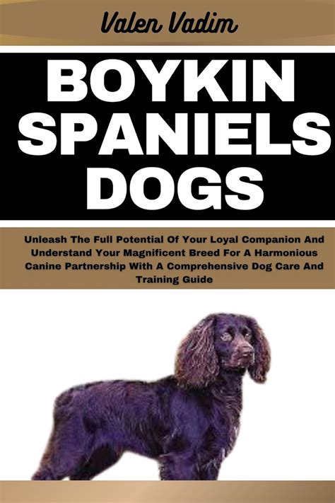 Boykin Spaniels: A Comprehensive Guide to Rescuing, Care, and Training