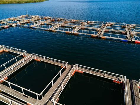 Brackishwater Aquaculture Reader