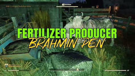 Brahmin Fertilizer