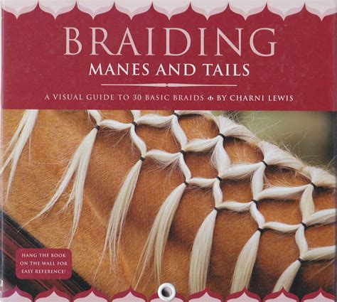 Braiding Manes Tails Visual Braids Doc