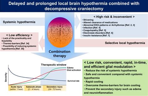 Brain Hypothermia Pathology Reader