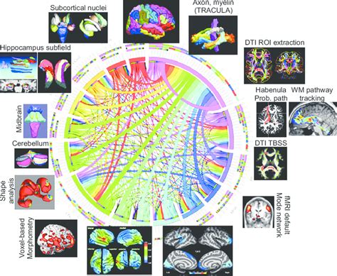 Brain Mapping - The Methods Epub