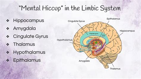 Brain Regions Involved in Deja Vu