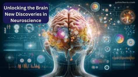 BrainsssIsBack: Unlocking a New Era of Neurobiological Advancements