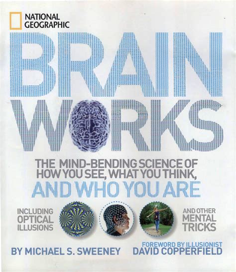 Brainworks The Mind Bending Science of How you See Reader