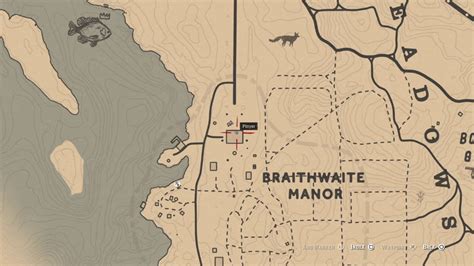 Braithwaite Gold: A Comprehensive Analysis