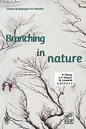 Branching in Nature Dynamics and Morphogenesis of Branching Structures, from Cell to River Networks Epub