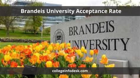 Brandeis Transfer Acceptance Rate: A Comprehensive Guide