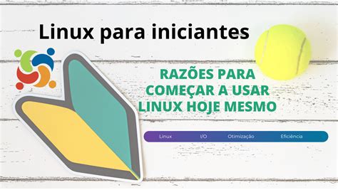 Brava Bet: 5 Razões Para Se Cadastrar Hoje Mesmo!