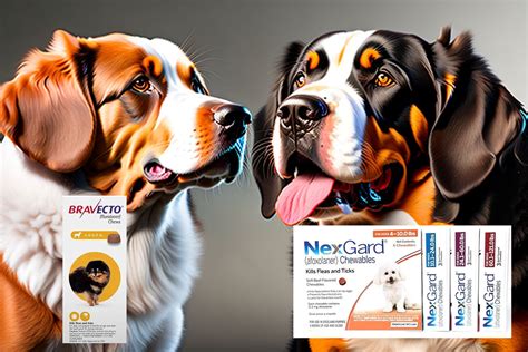 Bravecto Canine: The Ultimate Guide to Flea and Tick Protection for Your Furry Friend